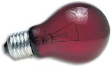 Zoo Med Nightlight Red Reptile Bulb 25 Watt_