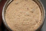 Amino Flash Bait Booster Karper_
