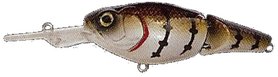 LFT Fanatic Deep Shad S05