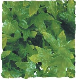 Zoo Med kunst planten Large Congo Ivy 56 cm