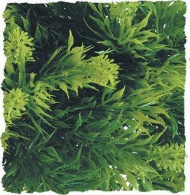 Zoo Med Kunst Planten Large Malaysian Fern 56 cm