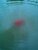 Amino Flash Wolkenbilder Rood