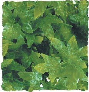 Zoo Med kunst planten Medium Congo Ivy 46 cm